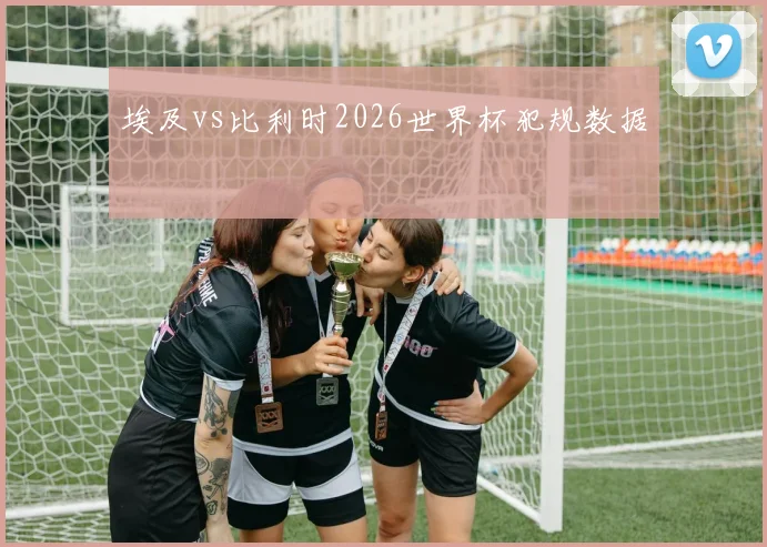 埃及vs比利时2026世界杯犯规数据