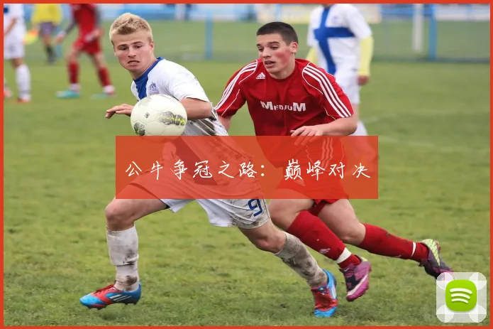 公牛争冠之路：巅峰对决