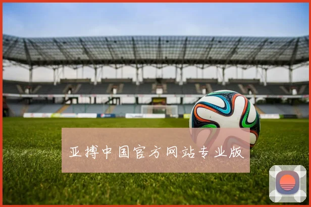 亚搏中国官方网站专业版