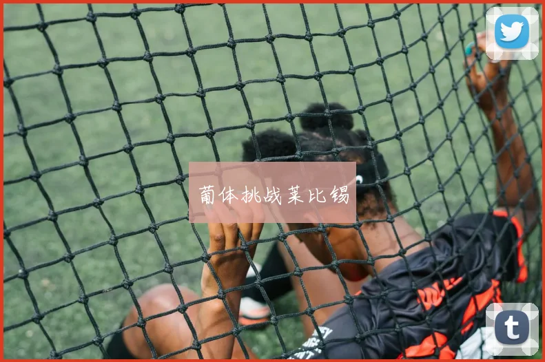 葡体挑战莱比锡
