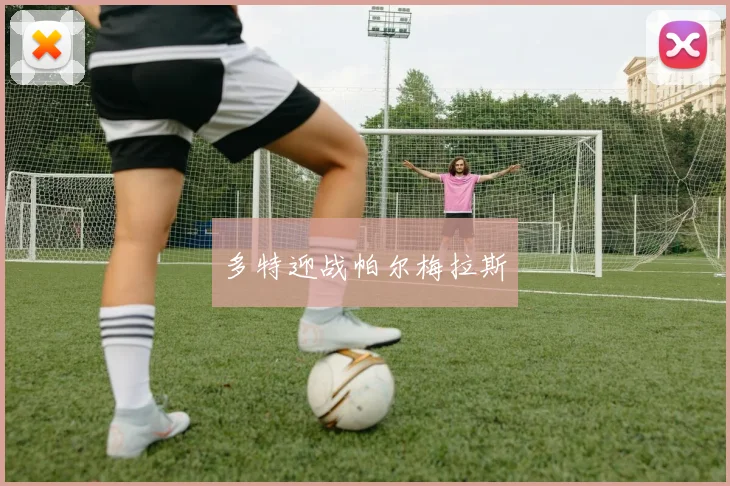 多特迎战帕尔梅拉斯