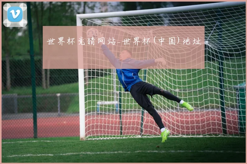 世界杯竞猜网站_世界杯(中国)地址