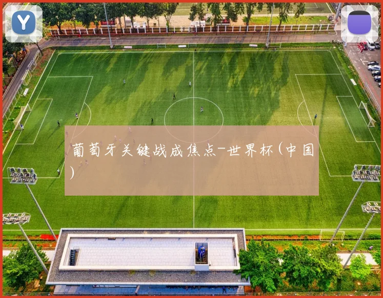 葡萄牙关键战成焦点-世界杯(中国)