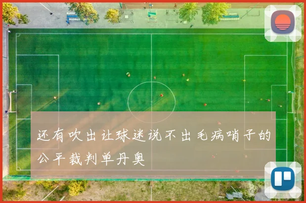 还有吹出让球迷说不出毛病哨子的公平裁判单丹奥