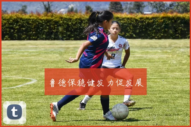 鲁德保稳健发力促发展