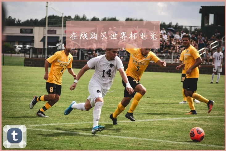 在线购买世界杯电竞