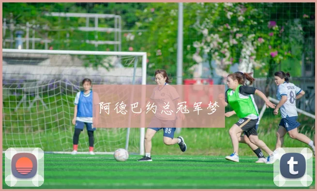 阿德巴约总冠军梦