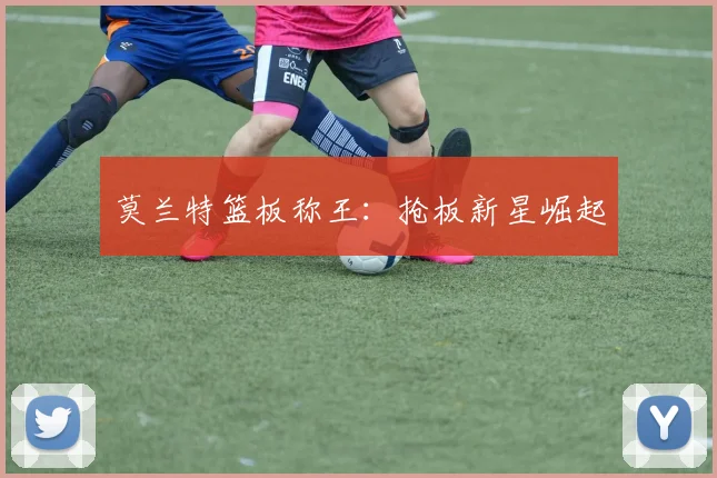 莫兰特篮板称王：抢板新星崛起