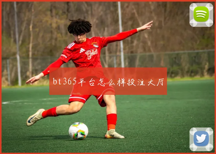 bt365平台怎么样投注大厅
