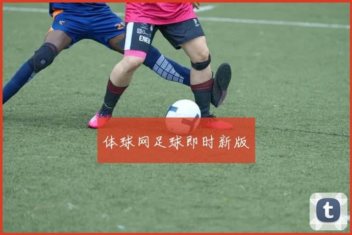 体球网足球即时新版