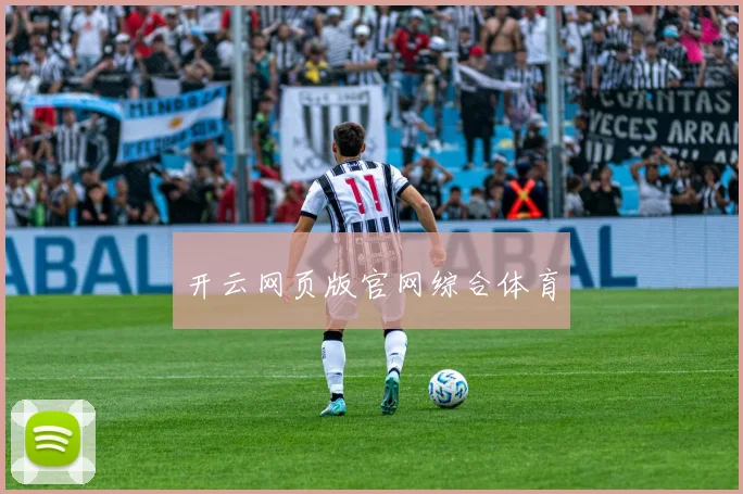 开云网页版官网综合体育