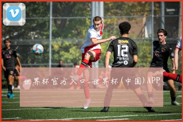 世界杯官方入口_世界杯(中国)APP