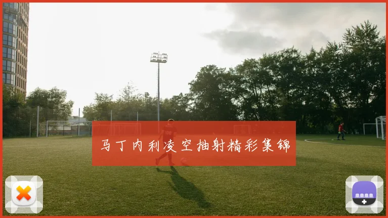 马丁内利凌空抽射精彩集锦