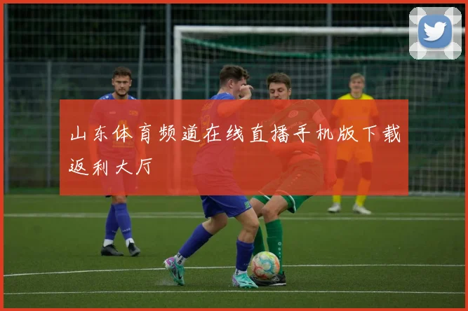 山东体育频道在线直播手机版下载返利大厅