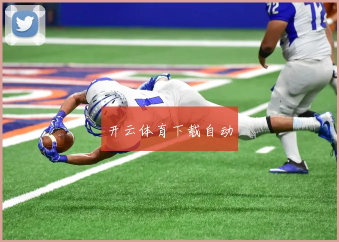 开云体育下载自动