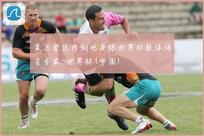 莱万禁区内倒地要球世界杯肢体语言专家-世界杯(中国)