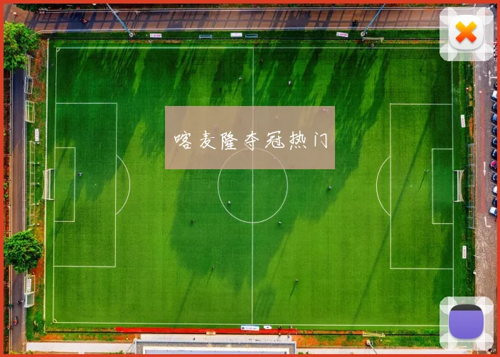 喀麦隆夺冠热门