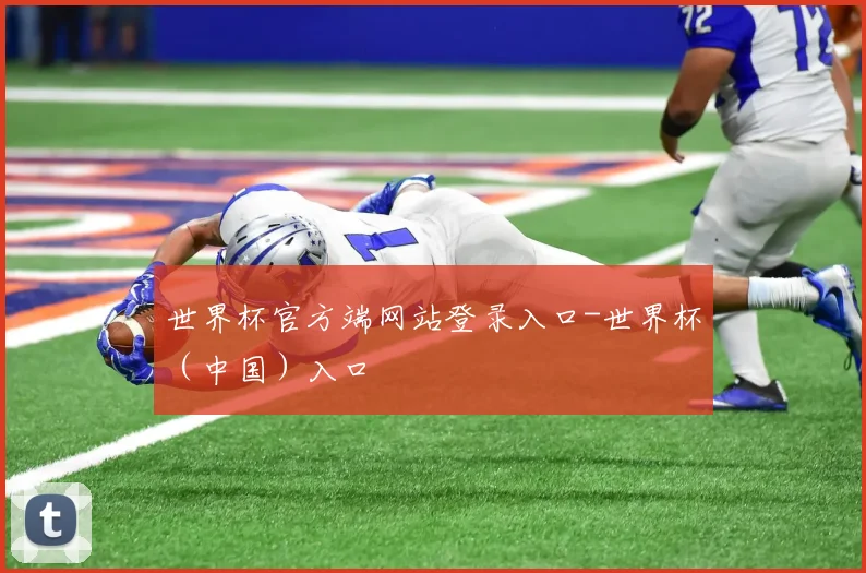 世界杯官方端网站登录入口-世界杯（中国）入口