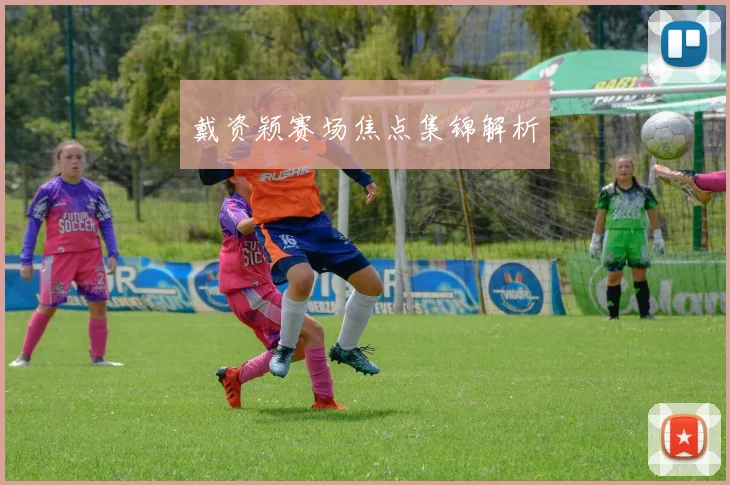 戴资颖赛场焦点集锦解析