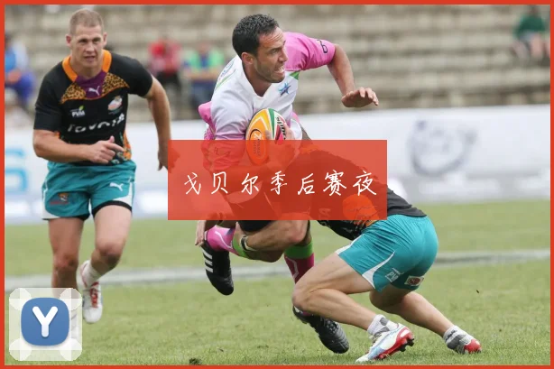戈贝尔季后赛夜