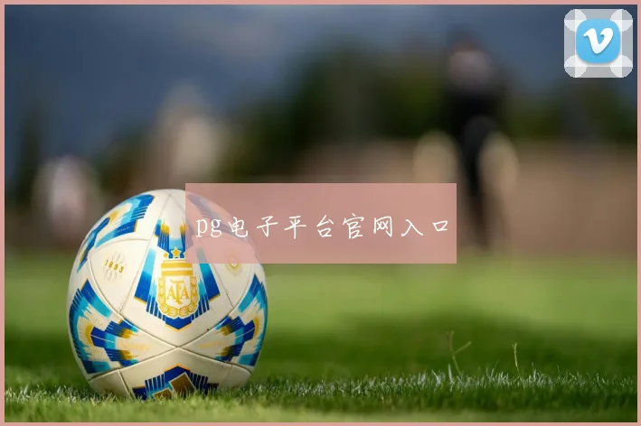 pg电子平台官网入口