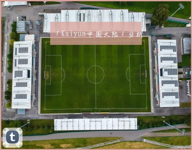 「Kaiyun中国大陆」分析