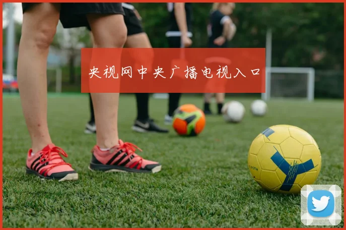 央视网中央广播电视入口