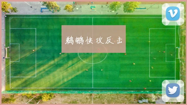 鹈鹕快攻反击