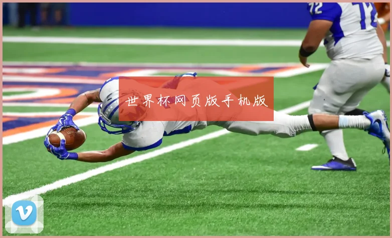 世界杯网页版手机版