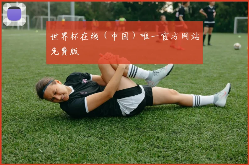 世界杯在线（中国）唯一官方网站免费版