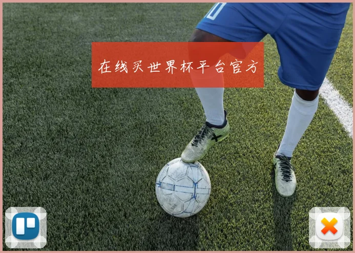 在线买世界杯平台官方