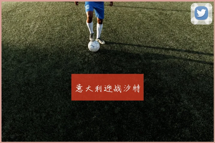 意大利迎战沙特