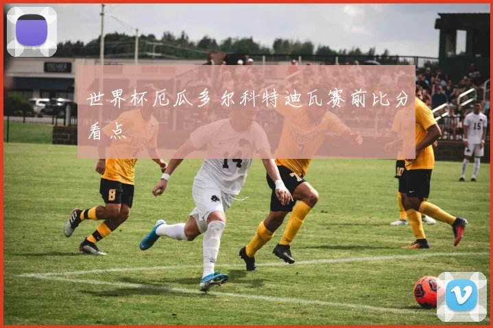世界杯厄瓜多尔科特迪瓦赛前比分看点