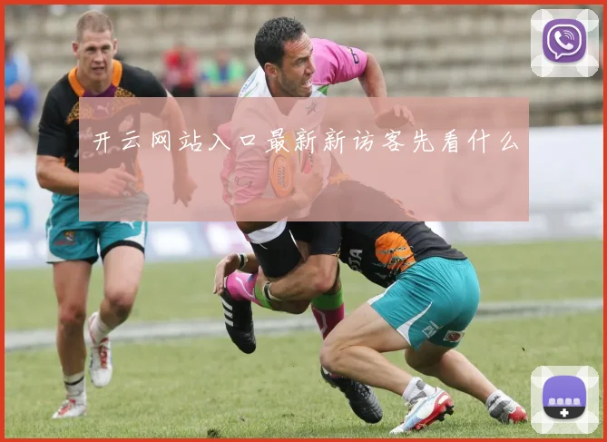 开云网站入口最新新访客先看什么