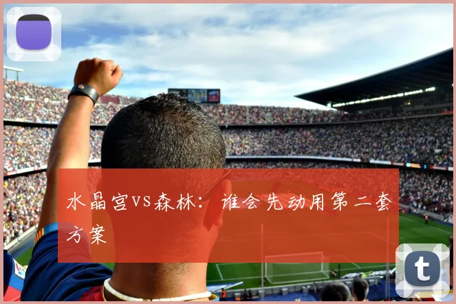 水晶宫vs森林：谁会先动用第二套方案