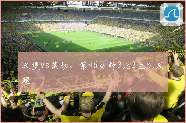 汉堡vs莱切，第46分钟3比2主队反超